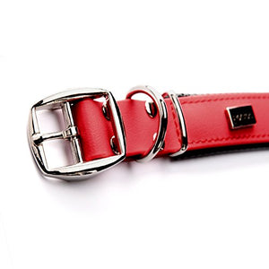 PetTec Comodo Collare Regolabile per Cani Taglia L (50-60cm), Rosso