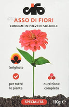 Carica l'immagine nel visualizzatore di Gallery, Cifo Asso di Fiori Concime in Polvere solubile per tutte le piante da balcone giardino ed orto 1 Kg