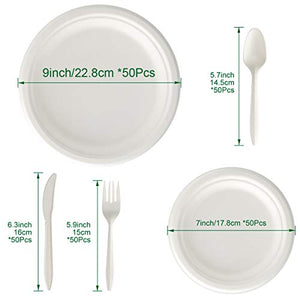 Aitsite 250 Pezzi Piatti monouso di carta Set Stoviglie usa e Bianco