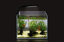Carica l&#39;immagine nel visualizzatore di Gallery, NICREW Luce Acquario Ultrasottile, Mini Lampada con 24 LEDs Nero
