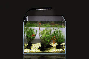 NICREW Luce Acquario Ultrasottile, Mini Lampada con 24 LEDs Nero