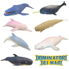 Carica l&#39;immagine nel visualizzatore di Gallery, Sbabam Dominatori dei Mari Confezione 3 Bustine Animal Discovery