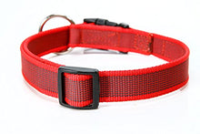 Carica l'immagine nel visualizzatore di Gallery, Collare K9 serie Color &amp; Gray, 20 mm x 27-42 cm, rosso-grigio - Ilgrandebazar
