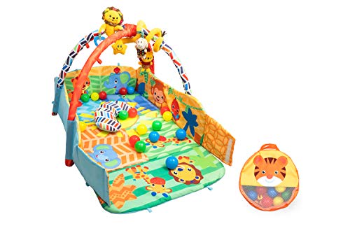 WARRALL M205H, Palestrina Multifunzione Evolutiva per Neonati e Bambini,... - Ilgrandebazar