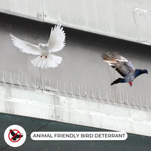 Carica l&#39;immagine nel visualizzatore di Gallery, NO Birds | Dissuasori per Piccioni | Barriera Anti Uccelli per Balcone Terrazza Finestra | Spuntoni Extra Lunge | Acciaio Inossidabile e Alluminio | 4 pezzi | Lunghezza Totale 1,09 Metri