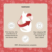 Carica l&#39;immagine nel visualizzatore di Gallery, 4