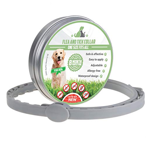 MENGZF Collare Antiparassitario Cani,Collare per pulci 8 Mesi di Protezione... - Ilgrandebazar