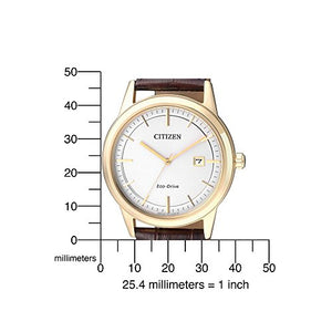 CITIZEN Uhr AW1212-10A - Ilgrandebazar