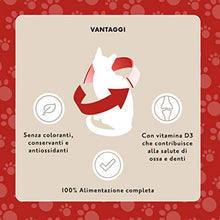 Carica l'immagine nel visualizzatore di Gallery, Marchio Amazon - Lifelong Alimento completo per gatti adulti- 2.4 kg - Ilgrandebazar