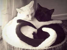 Carica l&#39;immagine nel visualizzatore di Gallery, Flongo Coppia Collana Amante ciondoli Gatti Bianchi Neri, Ciondoli Nero - Ilgrandebazar