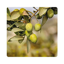 Carica l&#39;immagine nel visualizzatore di Gallery, Albagarden - Piante Frutta Naturale Bio Polti20 Biologico Bordolese Rame + Boro Orto Vite Peronospora Oidio Verderame Solfato Ossicloruro x 1 kg