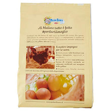 Carica l'immagine nel visualizzatore di Gallery, 2
