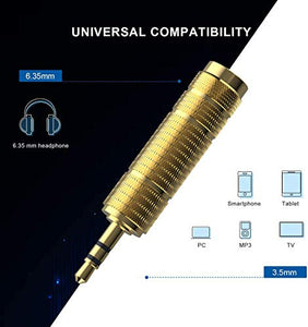 3,5mm Maschio a 6,35mm Femmina e 6,35 mm a 3,5 Adattatore...