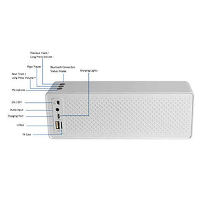 Cassa Bluetooth, Altoparlante Bluetooth Portatili 10W Dual Driver, Argento