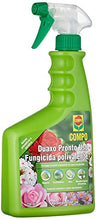 Carica l'immagine nel visualizzatore di Gallery, COMPO Duaxo Pronto Uso, Fungicida Polivalente, Per la Protezione delle Piante Ornamentali da casa e da giardino, 750 ml