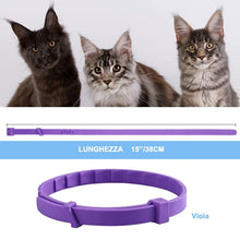 Carica l'immagine nel visualizzatore di Gallery, 3