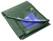 Carica l&#39;immagine nel visualizzatore di Gallery, Labor 0300152 Telone PVC Rinforzato con Occhielli, 4x5 m m