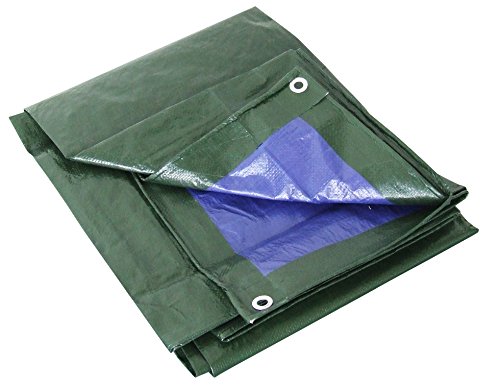 Labor 0300152 Telone PVC Rinforzato con Occhielli, 4x5 m m