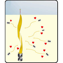 Carica l&#39;immagine nel visualizzatore di Gallery, PIC - 16 Pezzi - Acchiappamosche - Ecologico e Senza tossicità - Incluso...