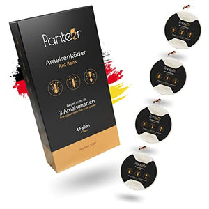 Panteer ® Lattina di esca per formiche - 4 esche per formiche - Facile controllo delle formiche con veleno per formiche - Contro più di 3 specie - Per interni e per le formiche nel prato
