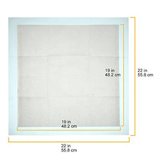 Carica l'immagine nel visualizzatore di Gallery, AmazonBasics - Tappetini igienici assorbenti per animali domestici, misura standard, 100 pz