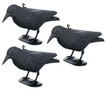 Carica l'immagine nel visualizzatore di Gallery, Brandsseller Set 3 Statuetta di Corvo 36 cm Neri 3 Pezzi Corvo Finto Spaventapasseri
