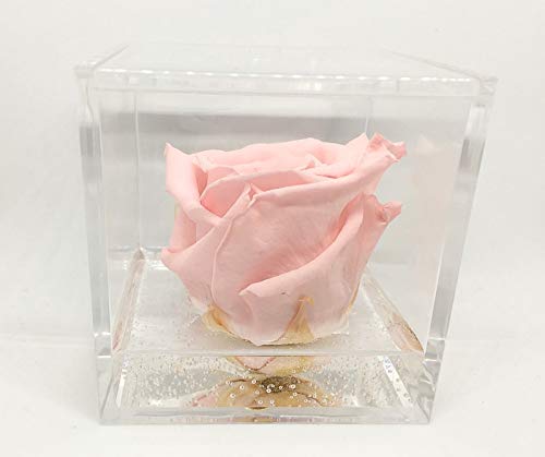 Cubo Rosa stabilizzata rosa 6cm, profumata è una vera e propria che... - Ilgrandebazar