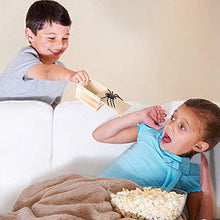 Carica l&#39;immagine nel visualizzatore di Gallery, Cayenne Scatola Scherzo Ragno, Ragno Prank Spider in The Box, Scare... - Ilgrandebazar
