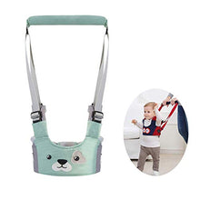Carica l'immagine nel visualizzatore di Gallery, Felly Camminare Assistente Per Bambino,Apprendimento Stare in piedi e...