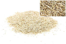 Carica l&#39;immagine nel visualizzatore di Gallery, Wolf Garten Prato Sport e Gioco 55x32x40 cm, Multicolore