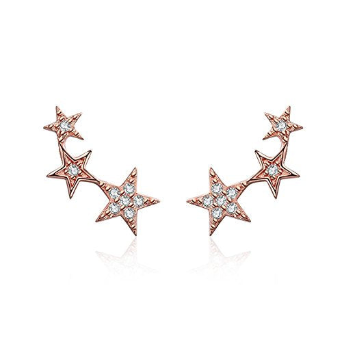 Orecchini in argento sterling 925, Oro rosa Stile delle stelle Rose