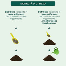 Carica l&#39;immagine nel visualizzatore di Gallery, Concime Piante Verdi Tropicali 1kg - Fertilizzante Piante Verdi Naturale Per Cycas Con Azoto Organico, Fosforo E Potassio Per Foglie Sempre Verdi E Rigogliose - Il Paese Verde