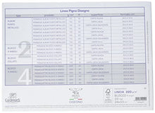 Carica l'immagine nel visualizzatore di Gallery, Pigna Pignaquattro 0220021Ge, Album Da Disegno, Formato 24 X 33 Cm, Fogli Lisci, Grammatura 220Gr/M2, 20 Fogli, Bianco