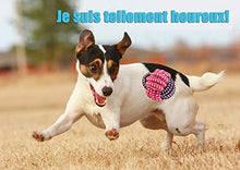 Carica l&#39;immagine nel visualizzatore di Gallery, FONPOO Giochi Cane,Corda Cane Resistenti per Cani Grandi Cane... - Ilgrandebazar