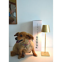 Carica l'immagine nel visualizzatore di Gallery, Ai Lati POLDINA Lampada da Tavolo LED 2W 3000K Ricaricabile Colore Bianco - Ilgrandebazar
