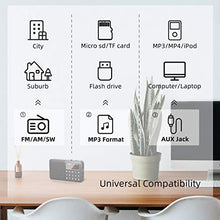 Carica l&#39;immagine nel visualizzatore di Gallery, PRUNUS L-238SW Radio Portatile SW FM AM(MW) SD USB MP3 con altoparlante....