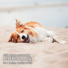 Carica l&#39;immagine nel visualizzatore di Gallery, AniForte Stomaco Delicatamente per Cani 500g - Supporta la digestione, Lega...