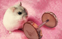 Carica l'immagine nel visualizzatore di Gallery, JJYHEHOT 8 Pack Giocattoli per Piccoli Animali Toy Giocattolo in...