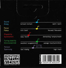 Carica l&#39;immagine nel visualizzatore di Gallery, Thomastik Corde per Violino Dominant nucleo di nylon, set 4/4 medium, Mi in... - Ilgrandebazar
