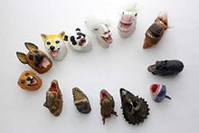 Carica l&#39;immagine nel visualizzatore di Gallery, Hanzwa Giocattoli per Burattini a Mano,Gomma Morbida Realistico Testa di... - Ilgrandebazar