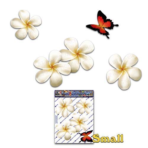 Fiore frangipani plumeria bianca doppio + farfalla adesivi auto autoadesivi... - Ilgrandebazar