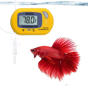 SunGrow - Termometro Digitale Betta