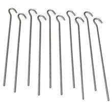 Carica l'immagine nel visualizzatore di Gallery, 10T - Set PEG IT 10RD-25SV, di picchetti, 25 cm, Colore: Argento