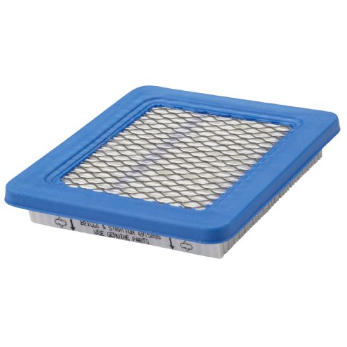 Briggs And Stratton Cartuccia Filtro dell’Aria Originale 491588S