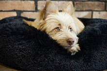 Carica l&#39;immagine nel visualizzatore di Gallery, Cuccia per cani e gatti, esclusiva e morbida cuccia Diametro 70 cm, Nero