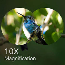 Carica l&#39;immagine nel visualizzatore di Gallery, Binocolo 10x50, Binocoli
