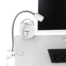 Carica l&#39;immagine nel visualizzatore di Gallery, Bonlux Portalampada a E27 con Morsetto e Spina CA Standard Bianco + Argento - Ilgrandebazar