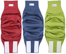 Carica l&#39;immagine nel visualizzatore di Gallery, Petsweare - Pannolini per XX - Large, blu navy, marrone castano, verde oliva