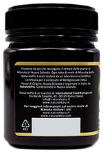 Carica l&#39;immagine nel visualizzatore di Gallery, Miele di Manuka 400+ MGO 250 gr. Prodotto in Nuova Zelanda, Attivo e 250 g