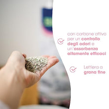 Carica l&#39;immagine nel visualizzatore di Gallery, Biokat&#39;s Diamond Care Fresh profumata, Lettiera per gatti a grana fine con carbone attivo e aloe vera, 1 Sacco, 1 x 10 L
